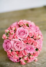 Rose rose on ProxiVor 